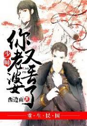 少帅，你老婆又丢了