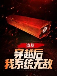 盗墓：穿越后我系统无敌许言