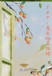 TNT：遇见纯真的你