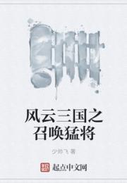 风云三国之召唤猛将