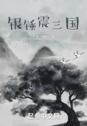 银锤震三国