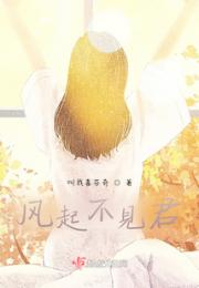 风起不见君