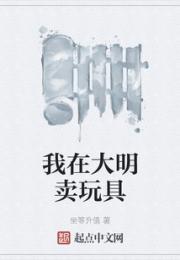 我在大明卖玩具