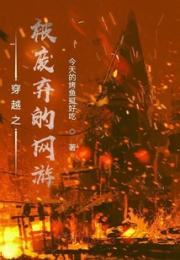 穿越之被废弃的网游