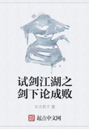 试剑江湖之剑下论成败
