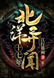 北洋异闻十七年