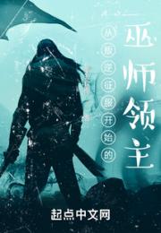 从叛逆征服开始的巫师领主