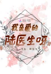 我亲爱的陆医生呀