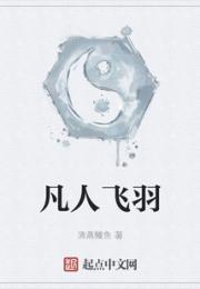凡人飞羽