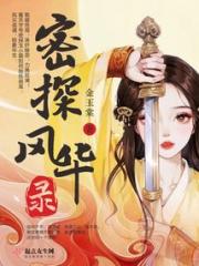 密探风华录