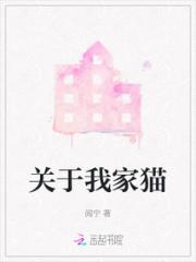 关于我家猫