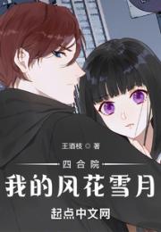 四合院：我的风花雪月