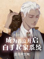 成为首富开启白手起家系统