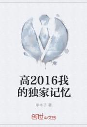 高2016我的独家记忆