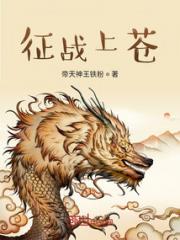 征战上苍