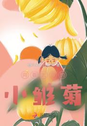 向着太阳的小雏菊