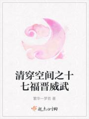 清穿空间之十七福晋威武