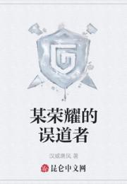 某荣耀的误道者