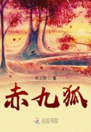 赤九狐