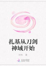 扎基从刀剑神域开始