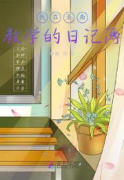 我在圣南教学的日记簿