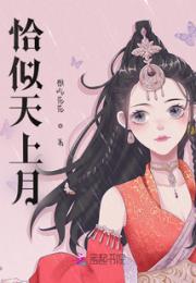 恰似天上月