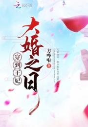 穿到王妃大婚之日