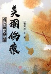 乱世佳人之美丽伤痕