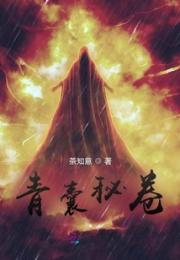 青囊秘卷