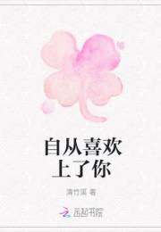 自从喜欢上了你