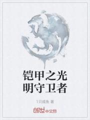 铠甲之光明守卫者
