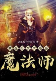 我在符文大陆当魔法师