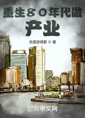 重生80年代做产业