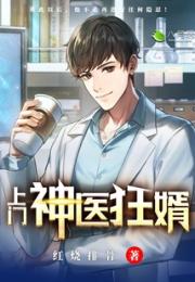 上门神医狂婿