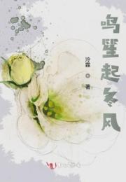 鸣笙起冬风