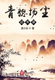 青骢扬尘边关录