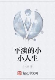 平淡的小小人生