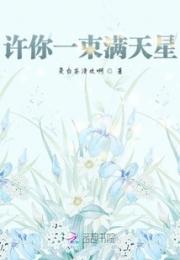 许你一束满天星