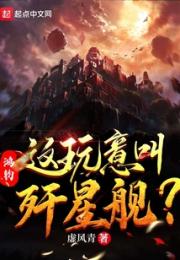 鸿钧：这玩意叫歼星舰？