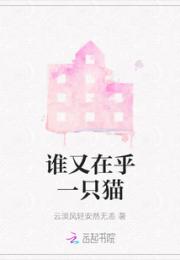 谁又在乎一只猫