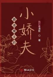 霸道魔主的小娇夫