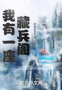 我有一座藏兵阁