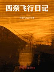 西奈飞行日记
