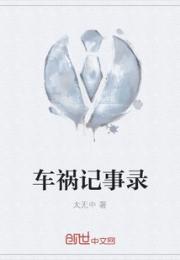车祸记事录