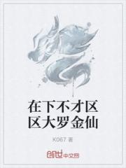 在下不才区区大罗金仙