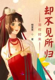 泪何时来，却不见所归