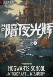 HP暗夜光辉