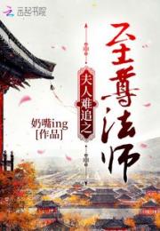 夫人难追之至尊法师