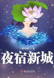 夜宿新城
