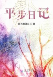 平步日记